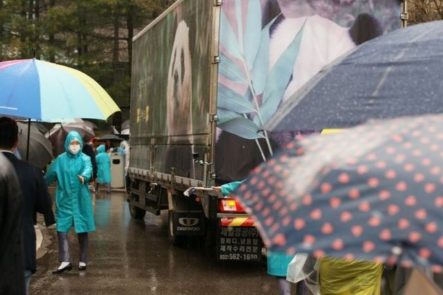 푸바오가 실린 차량의 뒤를 따르고 있는 관람객들ⓒ데일리안 김인희 기자