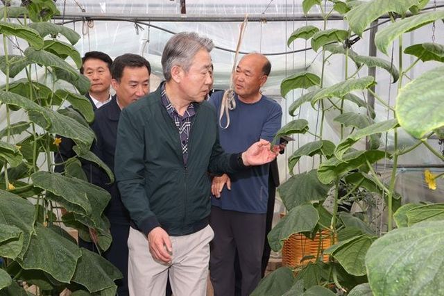 강호동 농협중앙회장이 대전 유성구 농가에서 오이 생육상황 현장을 점검하고 있다. ⓒ 농협중앙회