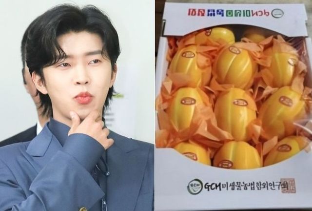 ⓒ데일리안·온라인커뮤니티