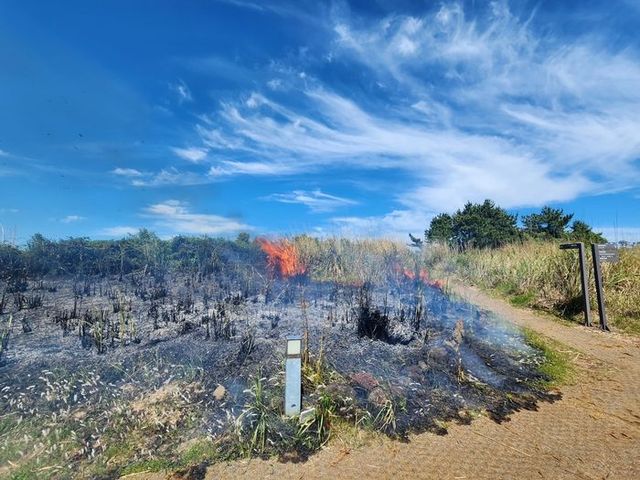 18일 발생한 제주 서귀포시 섭지코지 산책로 화재 현장. ⓒ제주도 소방안전본부