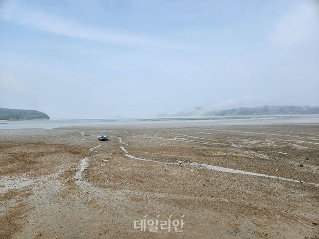 충남 서산시 중리어촌체험마을 갯벌 모습. ⓒ공동취재단