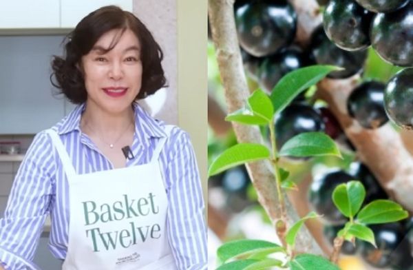 ⓒ최화정 유튜브, 게티이미지뱅크