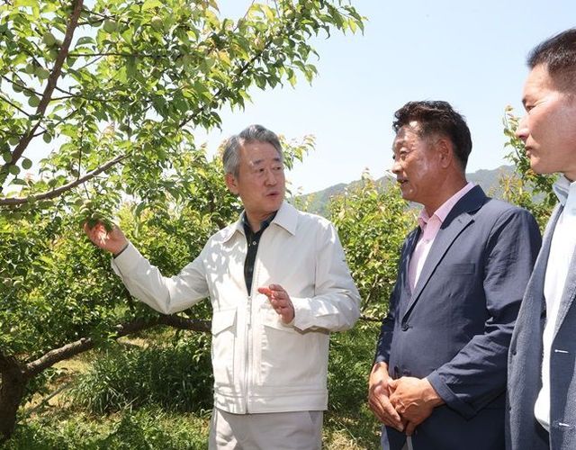 강호동 농협중앙회장(왼쪽)이 3일 경남 하동군 매실농가에 방문해 생육상황을 점검하고 있다. ⓒ 농협중앙회