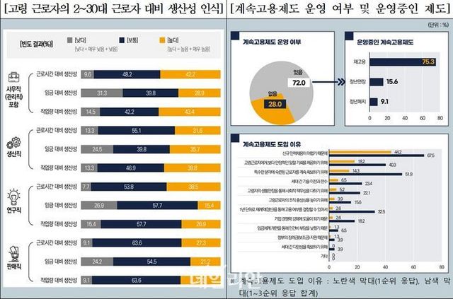 식품기업 인사담당자 대상 고령인력 실태조사 결과.ⓒ한국고용정보원