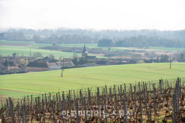 로저 바니에르 와이너리