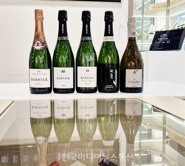 시음 샴페인 5종