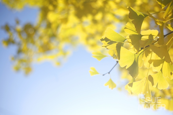 사진=김남근 기자