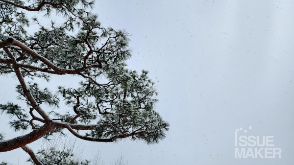 사진=김남근 기자