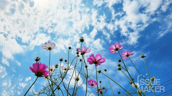 사진=김남근 기자