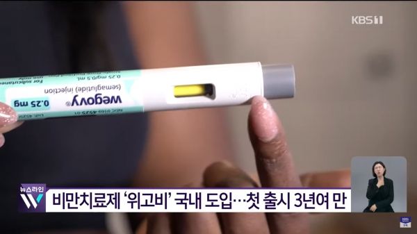 지난 10월 15일 위고비가 국내에 출시되면서 유통 회사의 주문 서버가 다운되는 등 품귀 현상이 벌어지고 있다. ⓒKBS 뉴스화면 갈무리