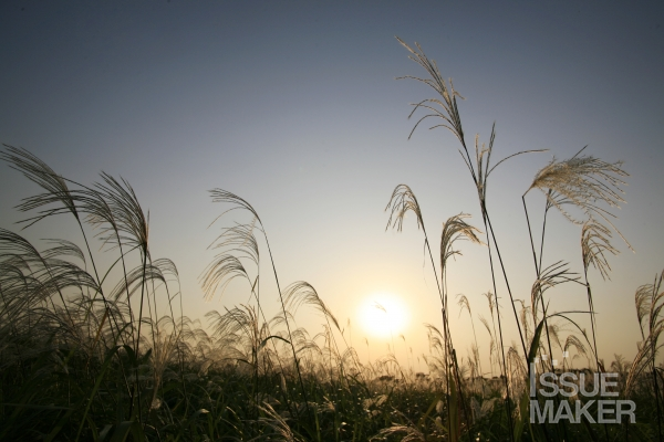 사진=김남근 기자