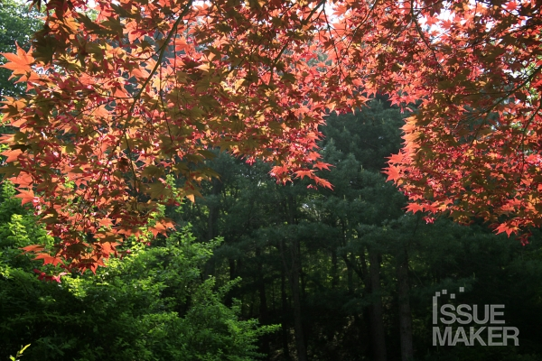 사진=김남근 기자