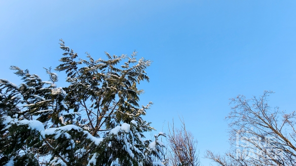 사진=김남근 기자