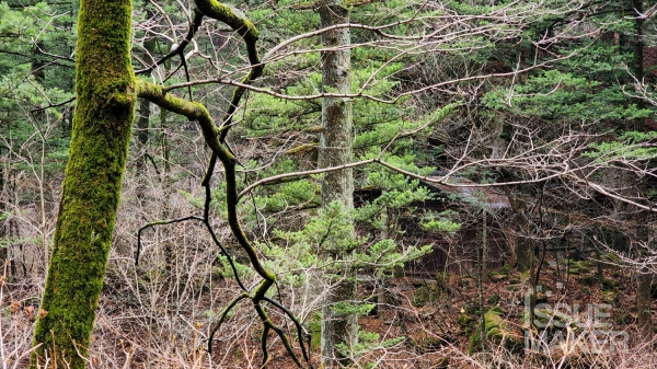 사진=김남근 기자