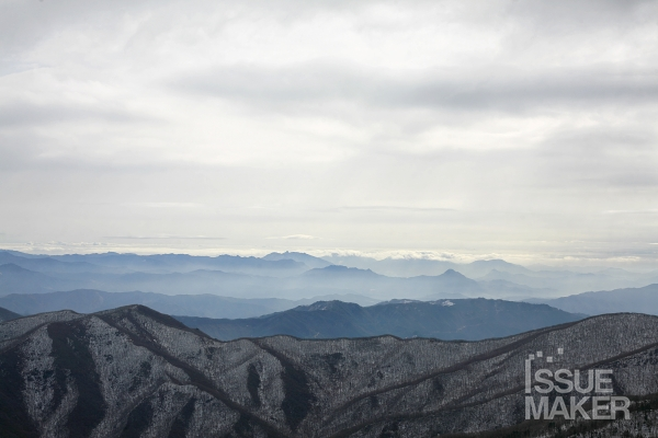 사진=김남근 기자