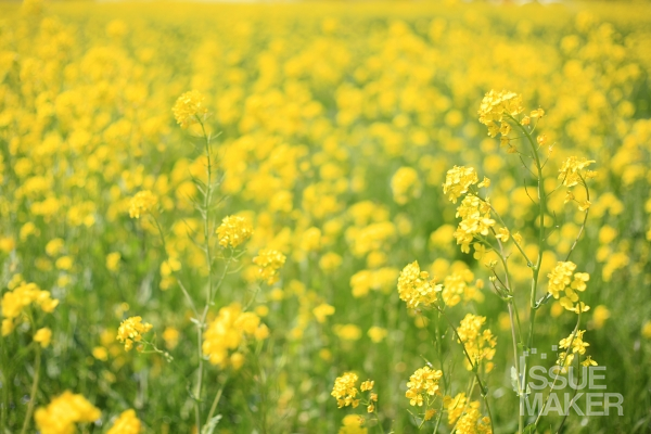 사진=김남근 기자