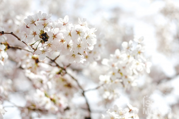 사진=김남근 기자