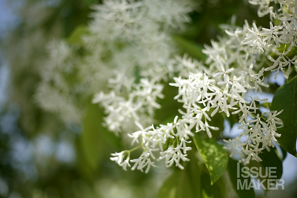 사진=김남근 기자