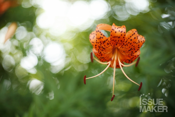 사진=김남근 기자