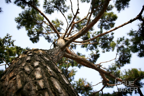 사진=김남근 기자