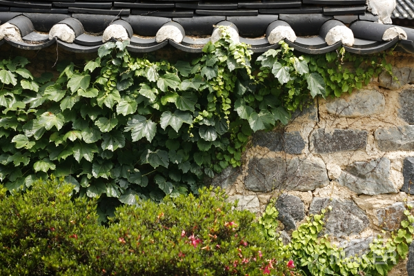 사진=김남근 기자