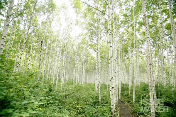 사진=김남근 기자