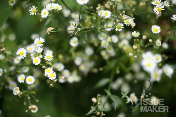 사진=김남근 기자