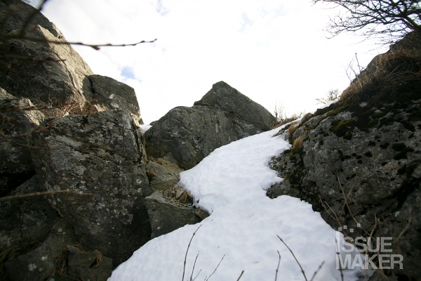 사진=김남근 기자