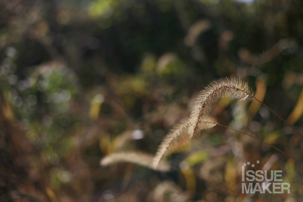 사진=김남근 기자