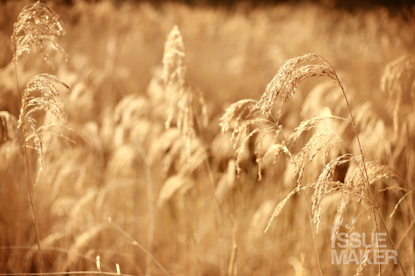 사진=김남근 기자