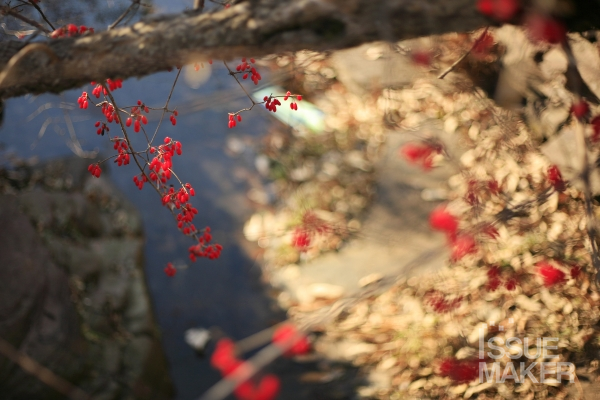 사진=김남근 기자