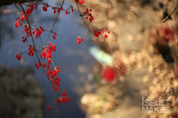 사진=김남근 기자