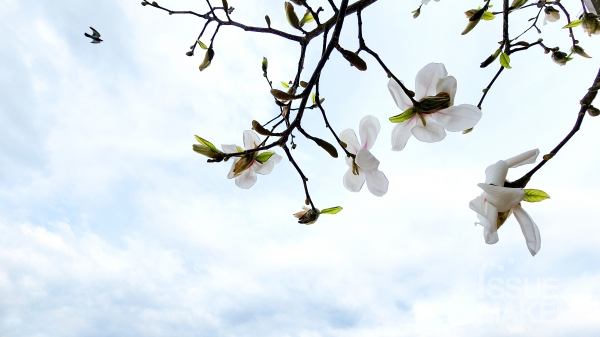 사진=김남근 기자