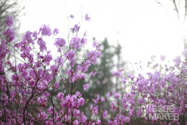 사진=김남근 기자