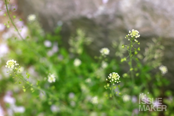 사진=김남근 기자