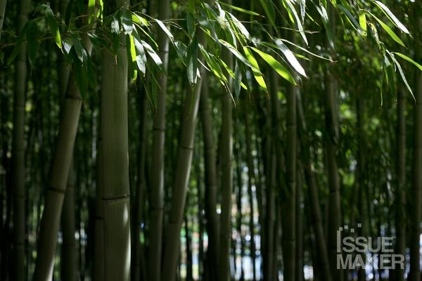 사진=김남근 기자