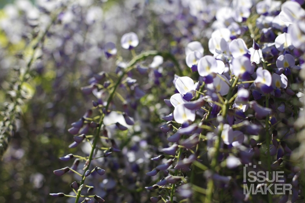 사진=김남근 기자