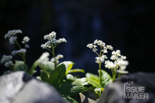 사진=김남근 기자