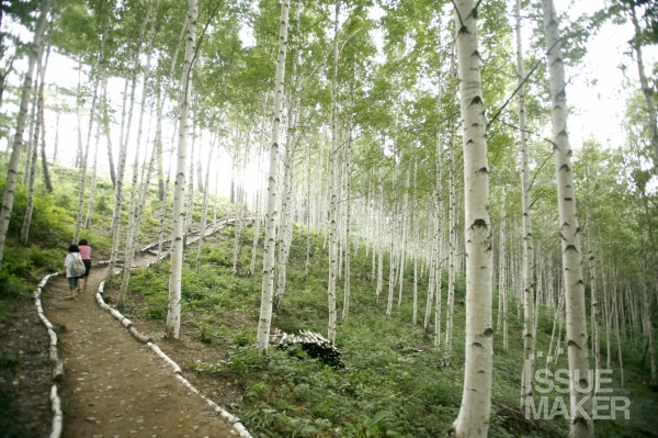 사진=김남근 기자