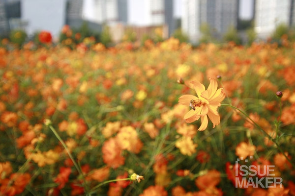 사진=김남근 기자