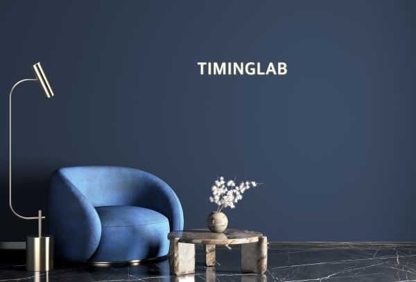 ⓒ타이밍랩