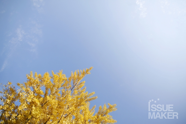 사진=김남근 기자