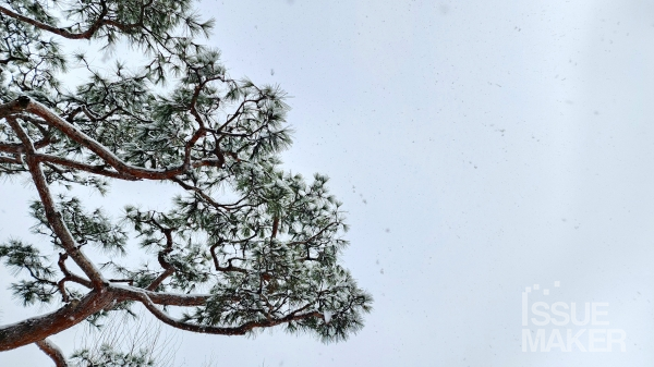 사진=김남근 기자