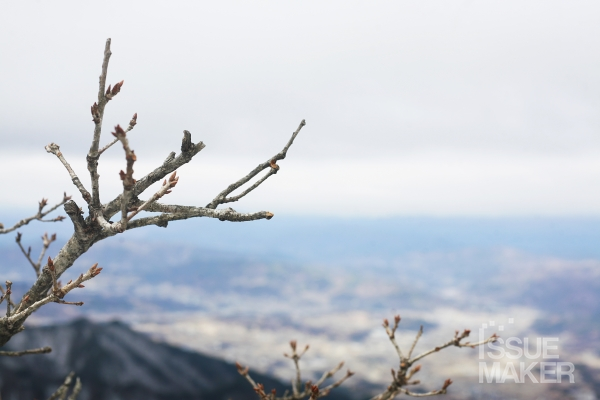 사진=김남근 기자