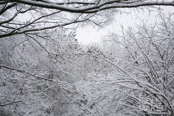 사진=김남근 기자