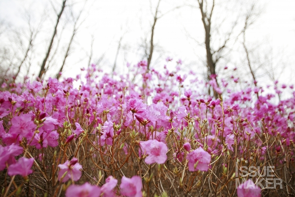 사진=김남근 기자