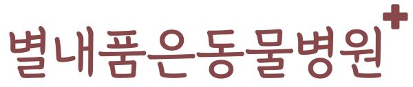 동물병원의 이름 ‘품은’에는 반려동물과 보호자가 안심하고 찾을 수 있는 병원이 되고자 하는 김소연 원장의 진료 방향이 담겨 있다. ⓒ별내품은동물병원