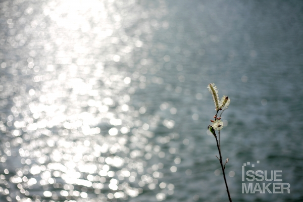 사진=김남근 기자