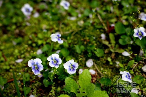 사진=김남근 기자