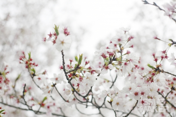 사진=김남근 기자